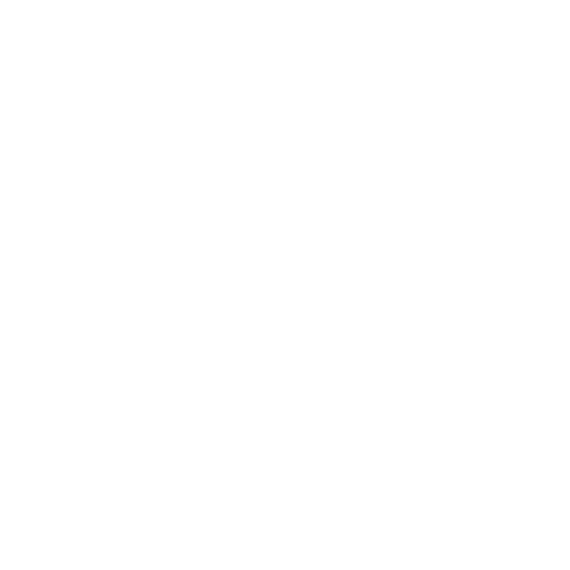Crossfit Zing Logo